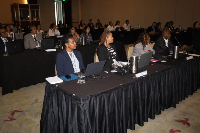 ICAO’s 8th North American and Caribbean Civil Aviation Training Centres Working Group Meeting Participants